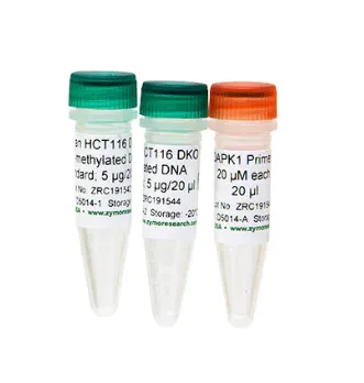 Human Methylated & Non-methylated DNA Set	5 µg/20 µl